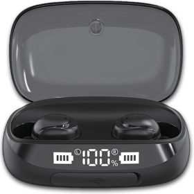 TWS True Bluetooth 5.0 Wireless Earbuds with 2000mAh Charging Case (Color: black)